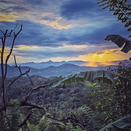 Eagle View Villa Ella Bagian luar foto